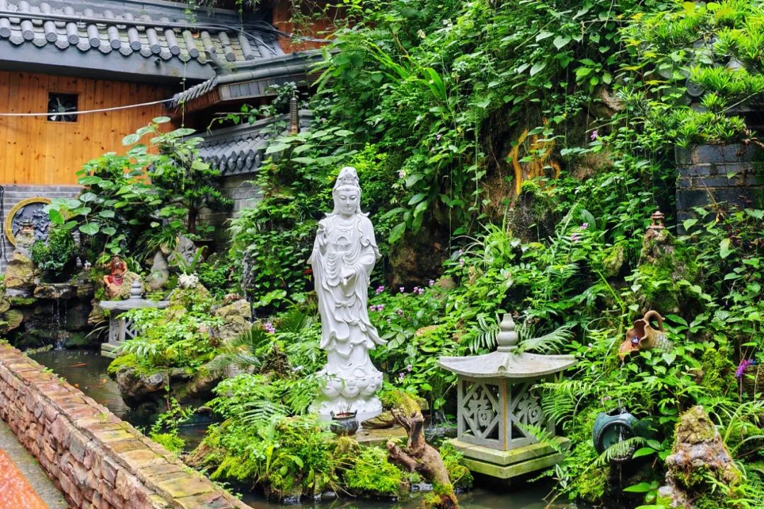 1724748153.jpg 1724748153.jpg