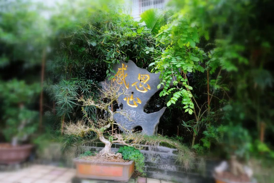 1724836435.jpg 1724836435.jpg