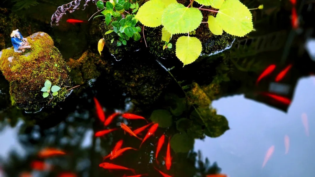 1729560643860089.jpg 1729560643860089.jpg