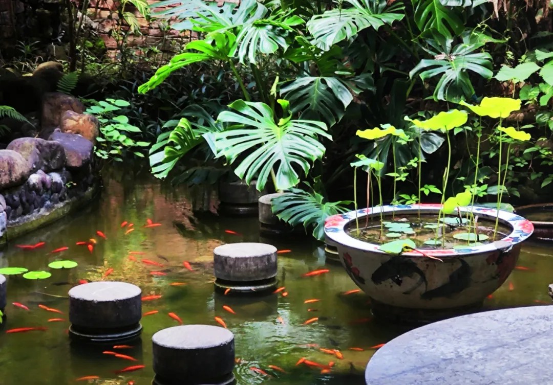 1729560655874952.jpg 1729560655874952.jpg