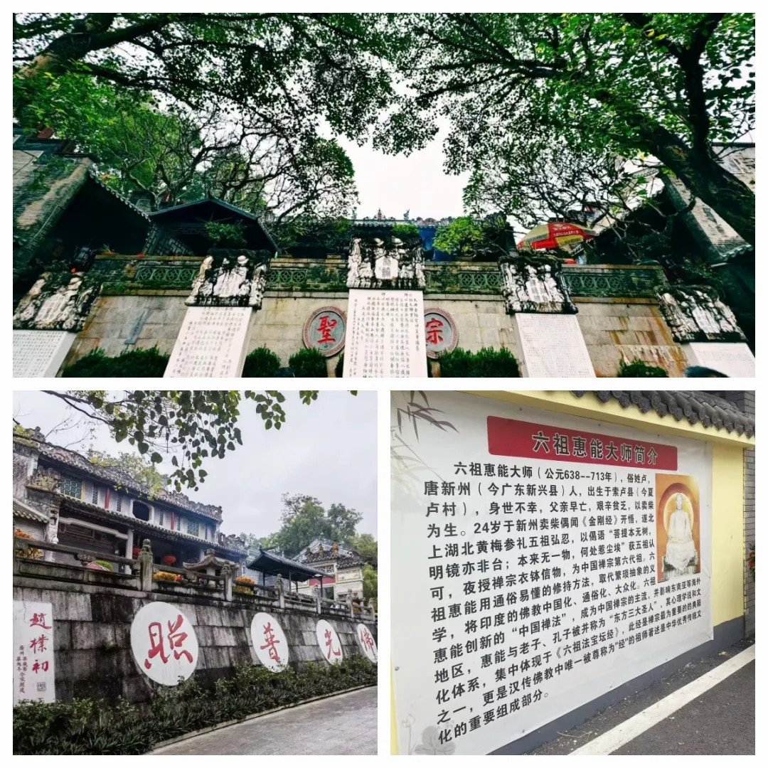 1730338784514991.jpg 1730338784514991.jpg