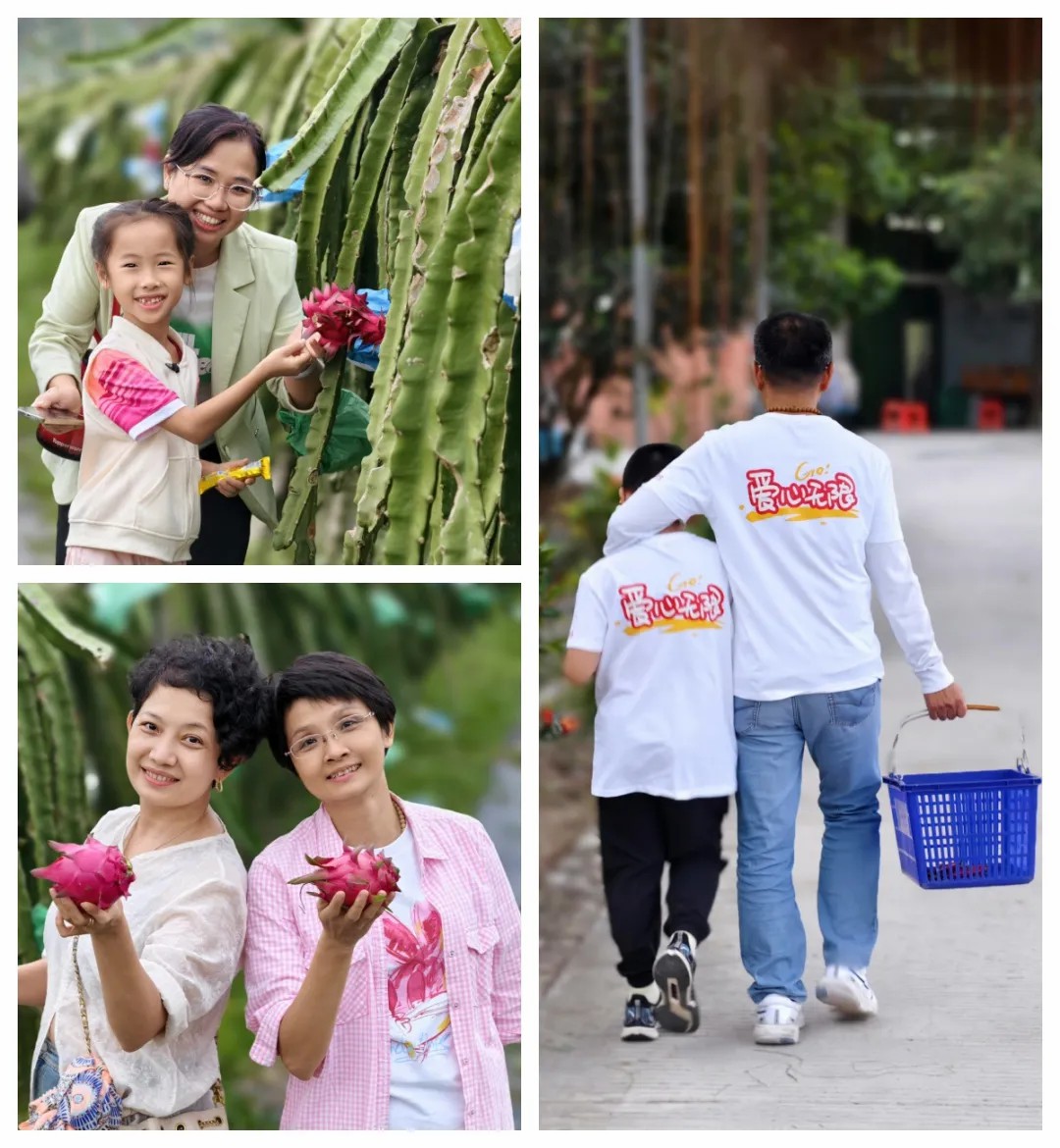 1730338909186107.jpg 1730338909186107.jpg