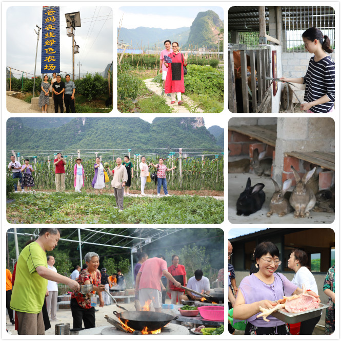 1731824170573192.jpg 1624334051814117.jpg