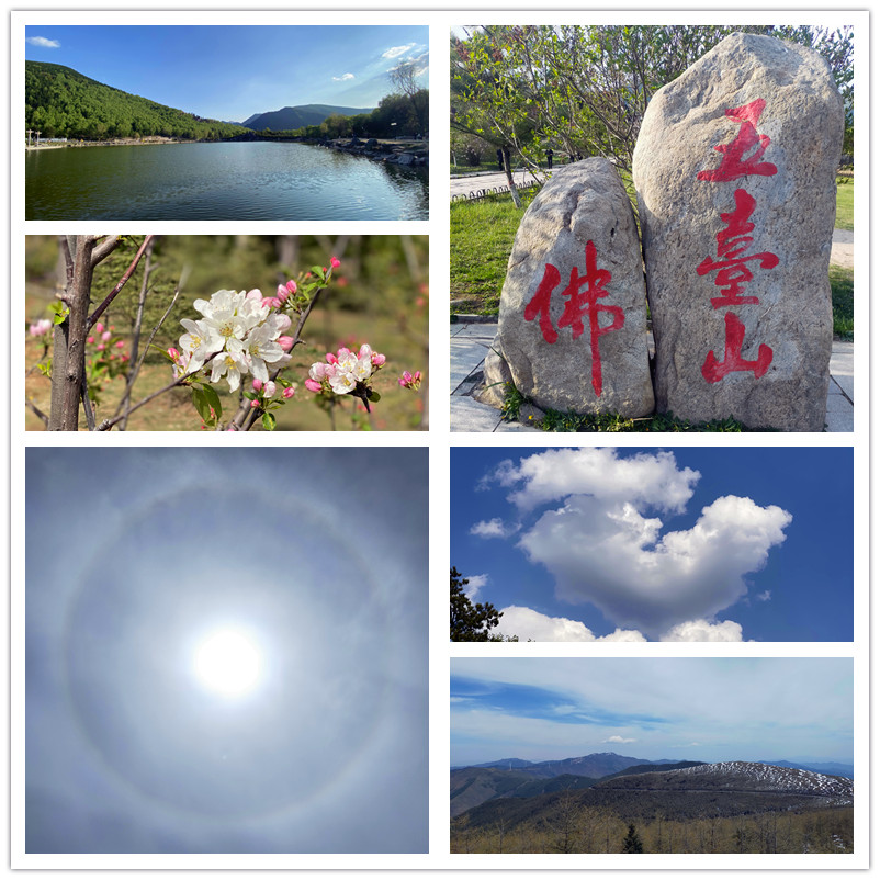 1731825203193058.jpg 1621561551393163.jpg