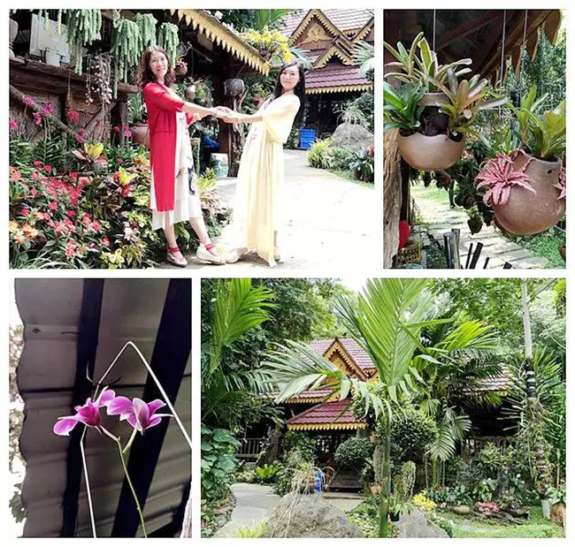 1732062998991688.jpg 1493632724440352.jpg