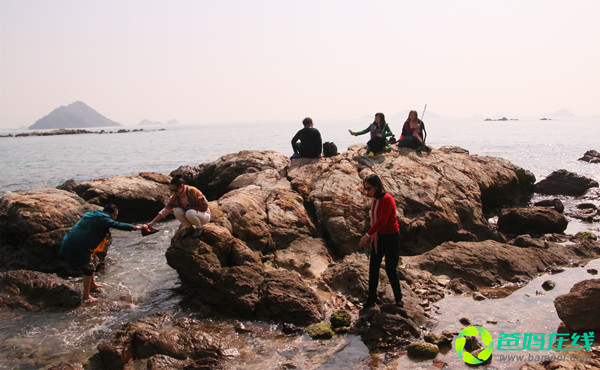 1732068662575460.jpg 1732068662575460.jpg