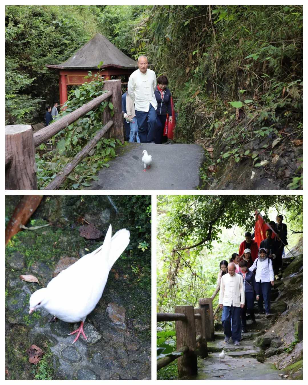 1732846232682966.jpg 1732846232682966.jpg