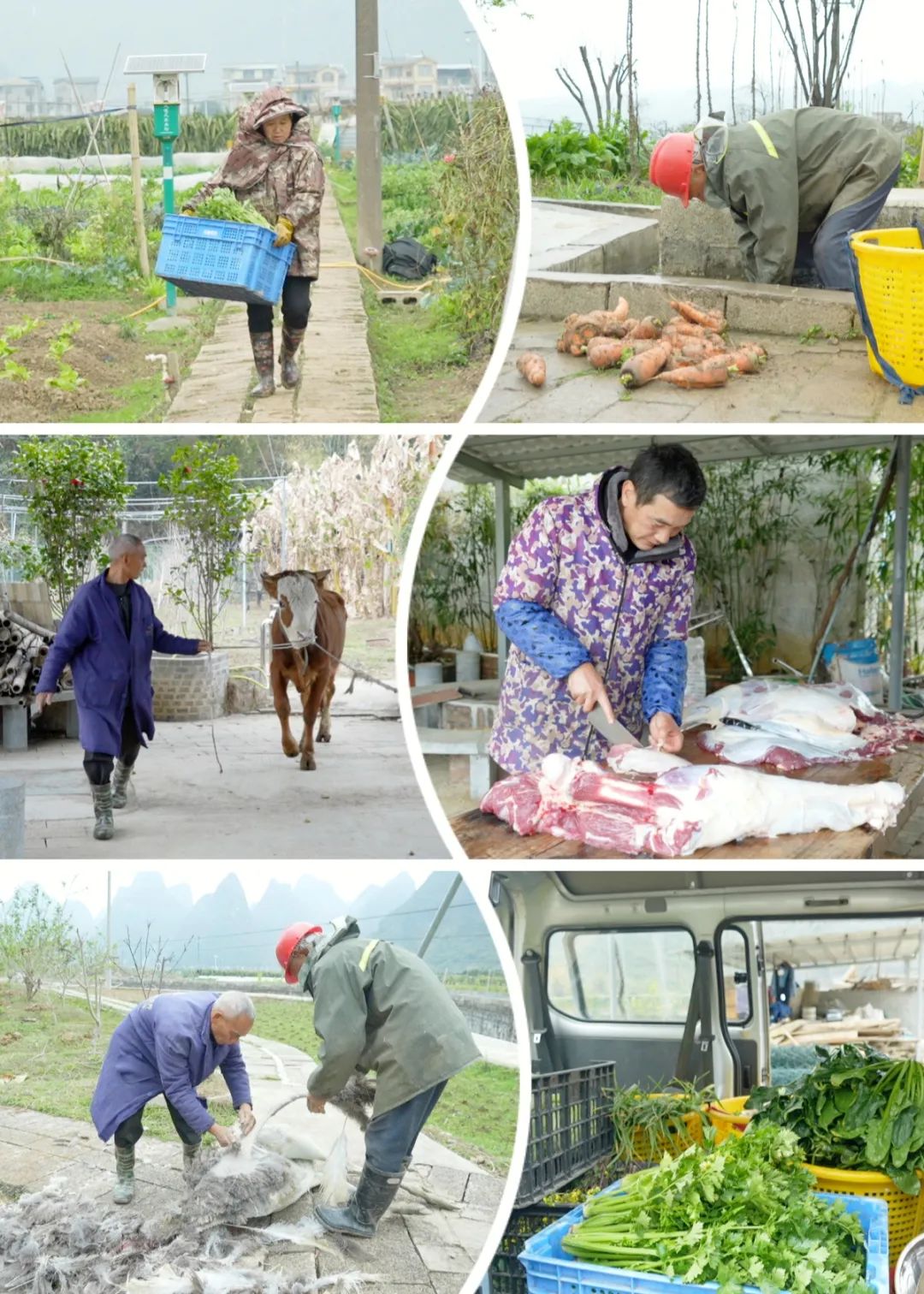 1741486833500050.jpg 1741486833500050.jpg