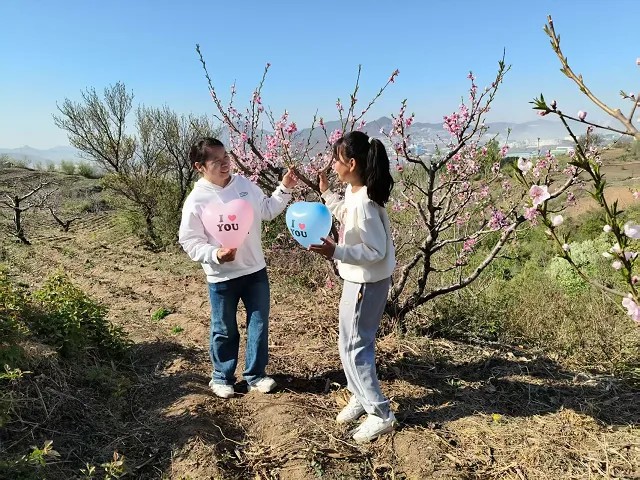 1747269384106959.jpg 1747269384106959.jpg