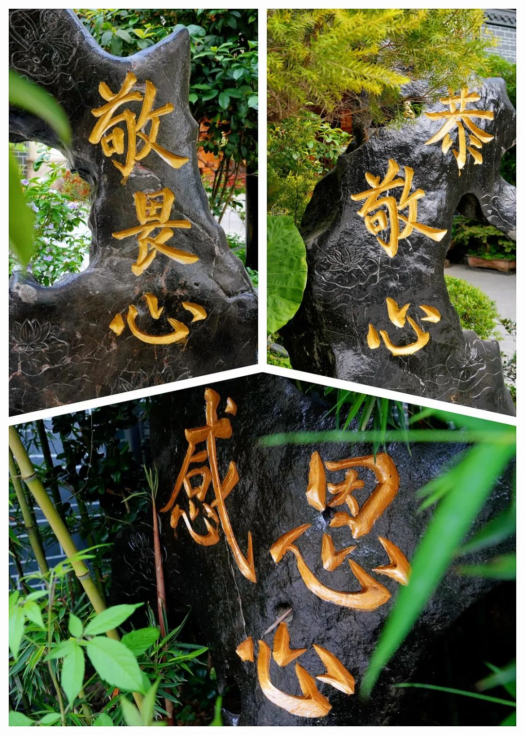 1747444552116616.jpg 1747444552116616.jpg