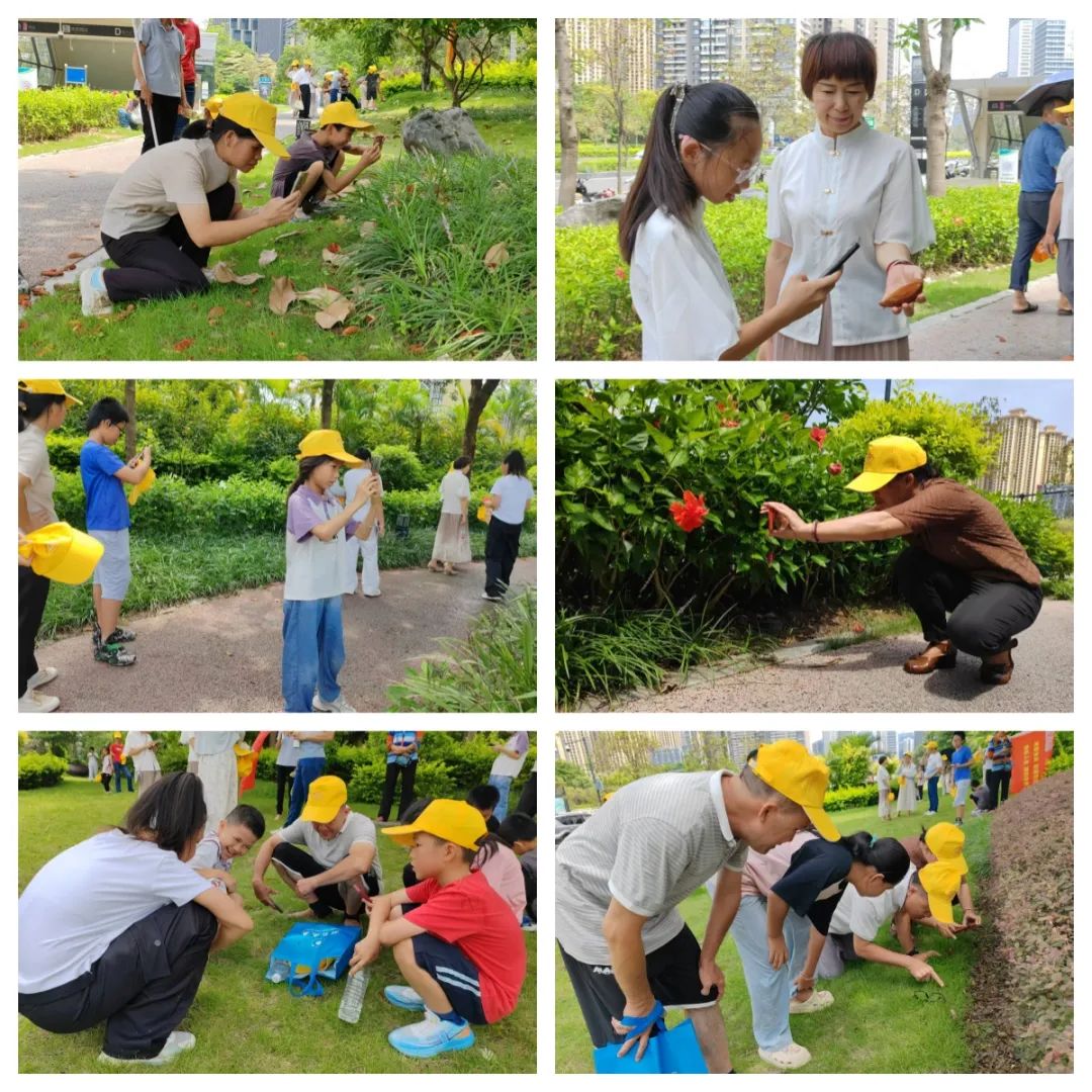 1750124071112497.jpg 1750124071112497.jpg