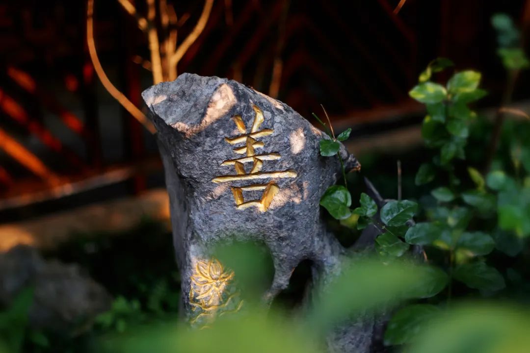 1751240802126306.jpg 1751240802126306.jpg