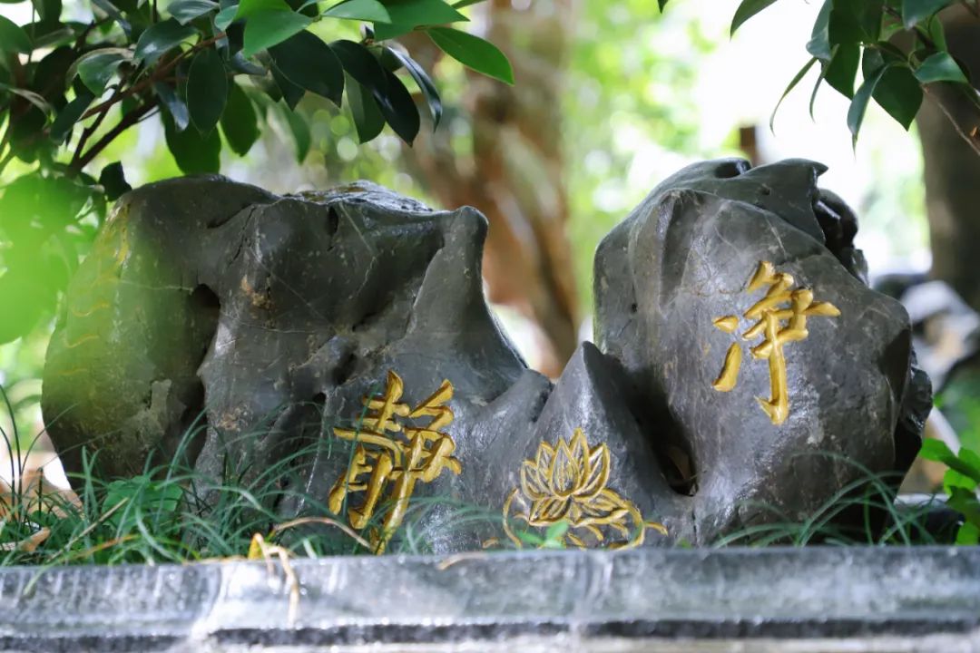 1751240839133338.jpg 1751240839133338.jpg