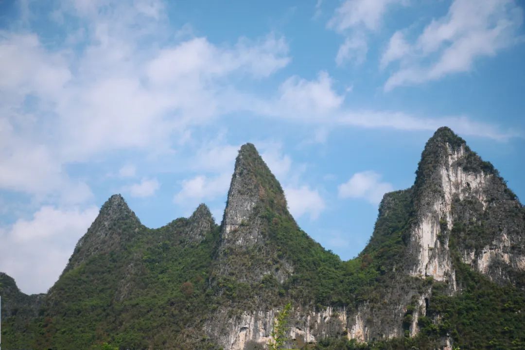 1751240993126169.jpg 1751240993126169.jpg